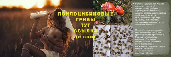 соль ск Балахна