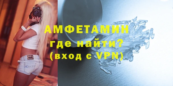 шишки Аркадак