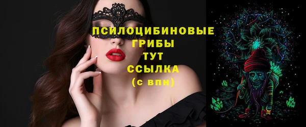 соль ск Балахна