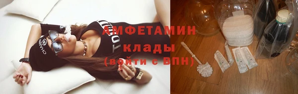 шишки Аркадак