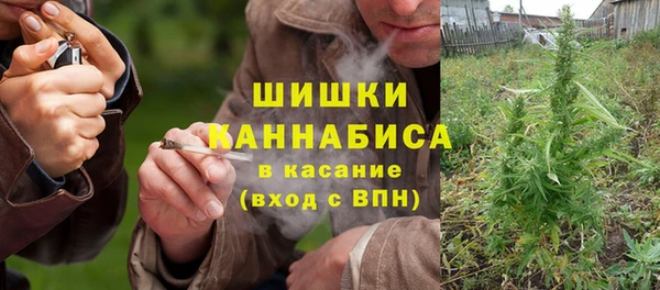 эйфоретик Арсеньев