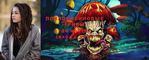 эйфоретик Арсеньев