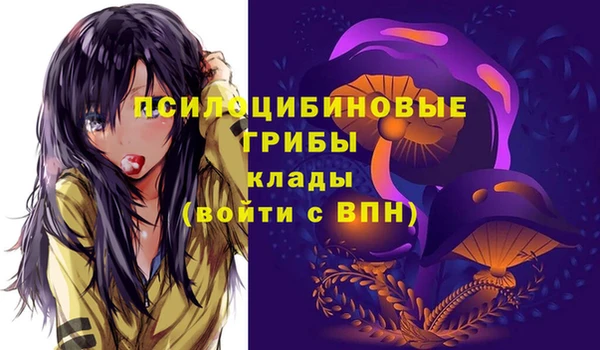 Альфа ПВП Баксан