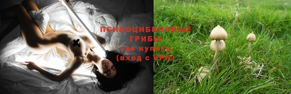 соль ск Балахна