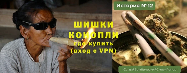 шишки Аркадак