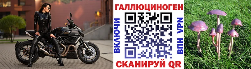 Псилоцибиновые грибы ЛСД  дарнет шоп  OMG ССЫЛКА  Узловая 